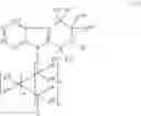 Fig. 08 - Pyrido[3,4-B]indoles and methods of use