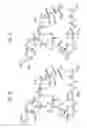 Fig. 10 - MACROCYCLIC LACTONE COMPOUNDS AND METHODS FOR THEIR USE