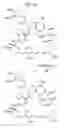 Fig. 105 - MACROCYCLIC LACTONE COMPOUNDS AND METHODS FOR THEIR USE