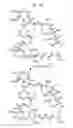 Fig. 108 - MACROCYCLIC LACTONE COMPOUNDS AND METHODS FOR THEIR USE