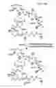 Fig. 109 - MACROCYCLIC LACTONE COMPOUNDS AND METHODS FOR THEIR USE