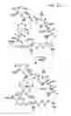 Fig. 111 - MACROCYCLIC LACTONE COMPOUNDS AND METHODS FOR THEIR USE