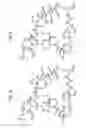 Fig. 15 - MACROCYCLIC LACTONE COMPOUNDS AND METHODS FOR THEIR USE