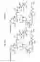 Fig. 18 - MACROCYCLIC LACTONE COMPOUNDS AND METHODS FOR THEIR USE