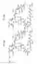 Fig. 24 - MACROCYCLIC LACTONE COMPOUNDS AND METHODS FOR THEIR USE