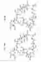 Fig. 27 - MACROCYCLIC LACTONE COMPOUNDS AND METHODS FOR THEIR USE