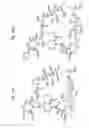 Fig. 28 - MACROCYCLIC LACTONE COMPOUNDS AND METHODS FOR THEIR USE
