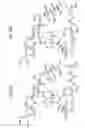 Fig. 41 - MACROCYCLIC LACTONE COMPOUNDS AND METHODS FOR THEIR USE
