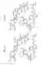 Fig. 52 - MACROCYCLIC LACTONE COMPOUNDS AND METHODS FOR THEIR USE