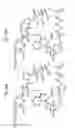 Fig. 58 - MACROCYCLIC LACTONE COMPOUNDS AND METHODS FOR THEIR USE