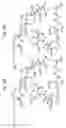 Fig. 60 - MACROCYCLIC LACTONE COMPOUNDS AND METHODS FOR THEIR USE
