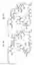 Fig. 64 - MACROCYCLIC LACTONE COMPOUNDS AND METHODS FOR THEIR USE