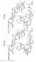 Fig. 81 - MACROCYCLIC LACTONE COMPOUNDS AND METHODS FOR THEIR USE