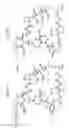 Fig. 91 - MACROCYCLIC LACTONE COMPOUNDS AND METHODS FOR THEIR USE