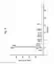 Fig. 97 - MACROCYCLIC LACTONE COMPOUNDS AND METHODS FOR THEIR USE