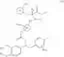 Fig. 04 - Aminoester derivatives