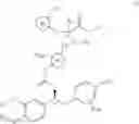 Fig. 09 - Aminoester derivatives