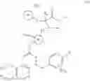 Fig. 12 - Aminoester derivatives