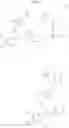 Fig. 18 - Aminoester derivatives