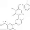 Fig. 81 - Methyl/fluoro-pyridinyl-methoxy substituted pyridinone-pyridinyl compounds and fluoro-pyrimidinyl-methoxy substituted pyridinone-pyridinyl compounds