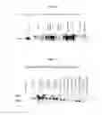 Fig. 07 - USE OF SELECTIVE DELTA-OPIOID RECEPTOR ANTAGONISTS AND SPECIFIC SENSORY RECEPTOR LIGANDS