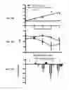 Fig. 06 - METHODS AND COMPOSITIONS FOR PREVENTION AND TREATMENT OF CARDIAC HYPERTROPHY