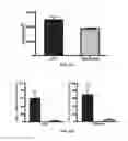 Fig. 07 - METHODS AND COMPOSITIONS FOR PREVENTION AND TREATMENT OF CARDIAC HYPERTROPHY
