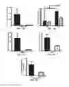 Fig. 09 - METHODS AND COMPOSITIONS FOR PREVENTION AND TREATMENT OF CARDIAC HYPERTROPHY