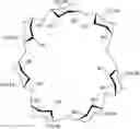 Fig. 09 - VORICONAZOLE INCLUSION COMPLEXES