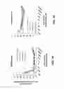Fig. 02 - Extended-release formulation for reducing the frequency of urination and method of use thereof