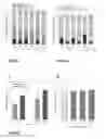 Fig. 03 - THYMIDINE FOR PREVENTING NEURAL TUBE DEFECTS