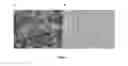 Fig. 04 - Polyvalent RNA-nanoparticle compositions