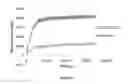 Fig. 07 - Polyvalent RNA-nanoparticle compositions