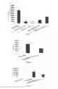 Fig. 06 - Use of alginate compositions in preventing or reducing liver damage caused by a hepatotoxic agent