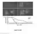 Fig. 10 - Induced pluripotent cell-derived oligodendrocyte progenitor cells for the treatment of myelin disorders