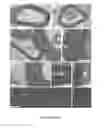 Fig. 12 - Induced pluripotent cell-derived oligodendrocyte progenitor cells for the treatment of myelin disorders
