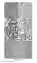 Fig. 13 - Induced pluripotent cell-derived oligodendrocyte progenitor cells for the treatment of myelin disorders