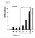 Fig. 02 - Compositions comprising heat-treated clear tomato concentrate
