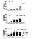Fig. 08 - Compositions comprising heat-treated clear tomato concentrate