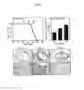 Fig. 02 - Methods for treating tissue damage associated with ischemia with apolipoprotein D