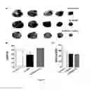 Fig. 09 - Methods for treating myocardial infarction comprising administering sonic hedgehog