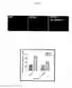 Fig. 02 - METHOD FOR INCREASING NEPRILYSIN EXPRESSION AND ACTIVITY