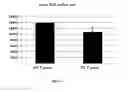 Fig. 02 - Methods and Pharmaceutical Compositions for Prevention of Aging-Related Lesions