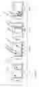 Fig. 06 - Dendritic Cells