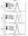 Fig. 02 - Immunogenic WT-1 peptides and methods of use thereof