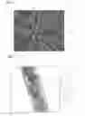 Fig. 03 - NANOFIBER HAVING SELF-HEATING PROPERTIES AND BIOLOGICALLY ACTIVE SUBSTANCE RELEASE PROPERTIES, PRODUCTION METHOD FOR SAME, AND NONWOVEN FABRIC HAVING SELF-HEATING PROPERTIES AND BIOLOGICALLY ACTIVE SUBSTANCE RELEASE CAPABILITIES