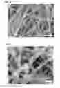 Fig. 09 - NANOFIBER HAVING SELF-HEATING PROPERTIES AND BIOLOGICALLY ACTIVE SUBSTANCE RELEASE PROPERTIES, PRODUCTION METHOD FOR SAME, AND NONWOVEN FABRIC HAVING SELF-HEATING PROPERTIES AND BIOLOGICALLY ACTIVE SUBSTANCE RELEASE CAPABILITIES