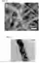 Fig. 10 - NANOFIBER HAVING SELF-HEATING PROPERTIES AND BIOLOGICALLY ACTIVE SUBSTANCE RELEASE PROPERTIES, PRODUCTION METHOD FOR SAME, AND NONWOVEN FABRIC HAVING SELF-HEATING PROPERTIES AND BIOLOGICALLY ACTIVE SUBSTANCE RELEASE CAPABILITIES