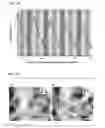 Fig. 16 - NANOFIBER HAVING SELF-HEATING PROPERTIES AND BIOLOGICALLY ACTIVE SUBSTANCE RELEASE PROPERTIES, PRODUCTION METHOD FOR SAME, AND NONWOVEN FABRIC HAVING SELF-HEATING PROPERTIES AND BIOLOGICALLY ACTIVE SUBSTANCE RELEASE CAPABILITIES