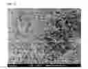 Fig. 20 - NANOFIBER HAVING SELF-HEATING PROPERTIES AND BIOLOGICALLY ACTIVE SUBSTANCE RELEASE PROPERTIES, PRODUCTION METHOD FOR SAME, AND NONWOVEN FABRIC HAVING SELF-HEATING PROPERTIES AND BIOLOGICALLY ACTIVE SUBSTANCE RELEASE CAPABILITIES